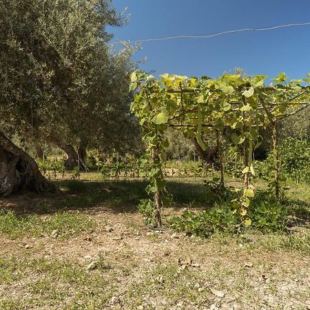 Villa Mendolia Ai Caracoli Termini Imerese Εξωτερικό φωτογραφία