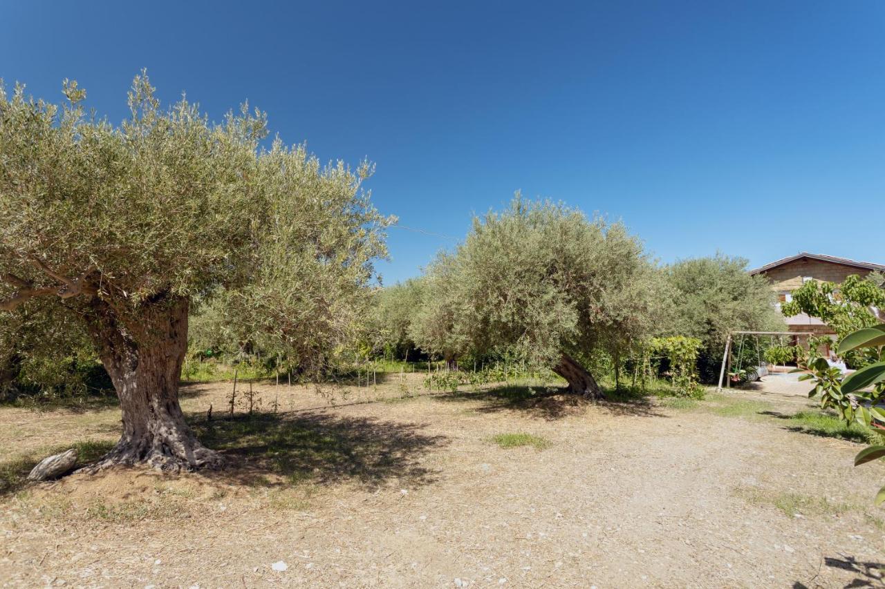 Villa Mendolia Ai Caracoli Termini Imerese Εξωτερικό φωτογραφία